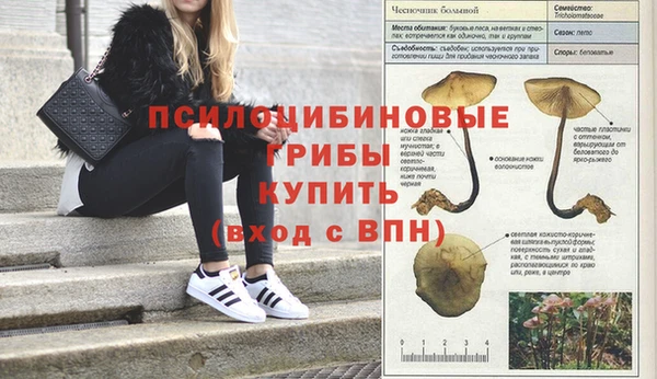 мяу мяу мука Алзамай