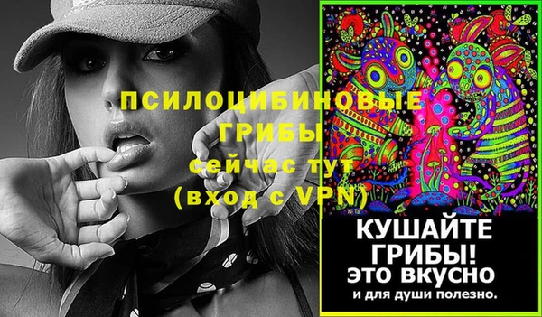 мяу мяу мука Алзамай