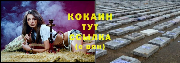 соль ск Алексин