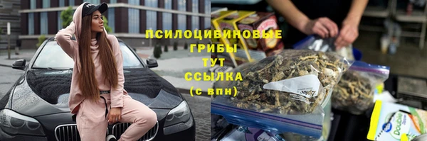 мяу мяу мука Алзамай