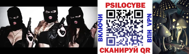 Галлюциногенные грибы Psilocybe  Когалым 