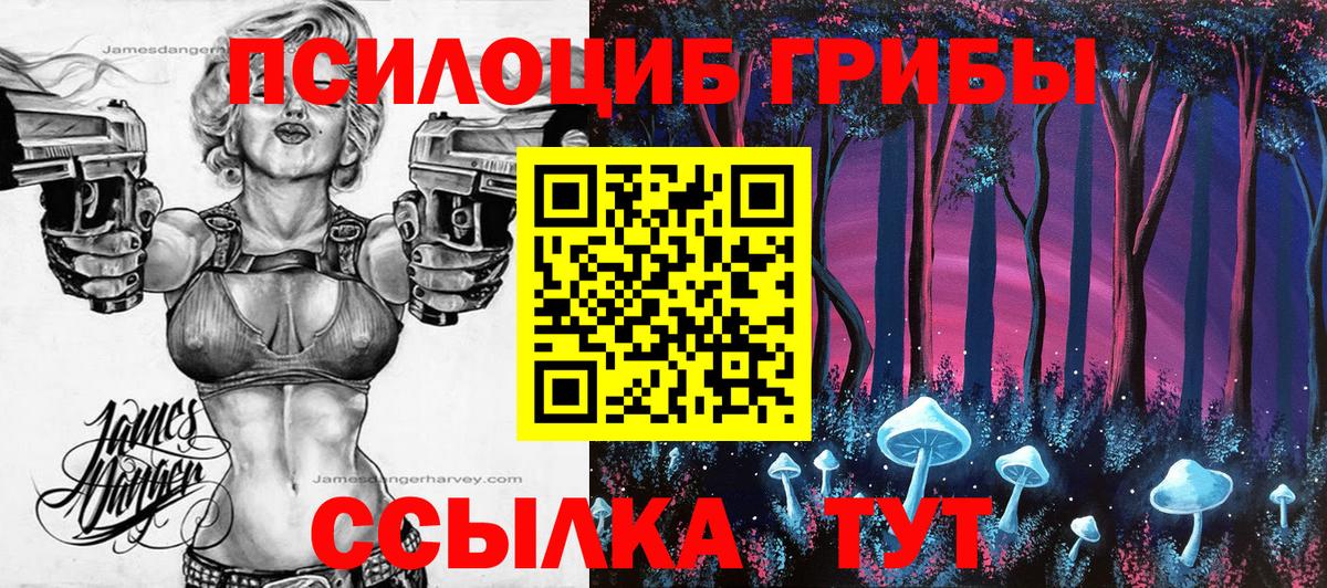 Галлюциногенные грибы Psilocybe  Псилоцибиновые грибы Psilocybe  Когалым  Вход с VPN 